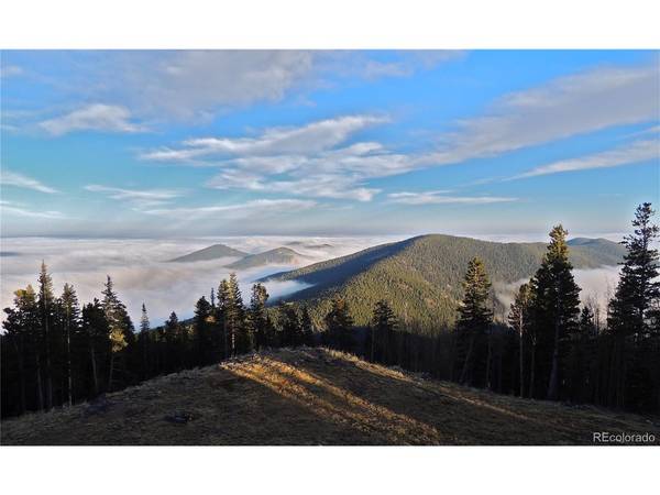1539 Raven Ridge, Idaho Springs, CO 80452
