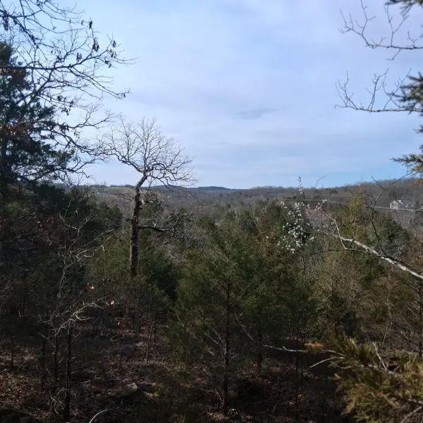 000 Greers Ferry Road, Branson, MO 65616