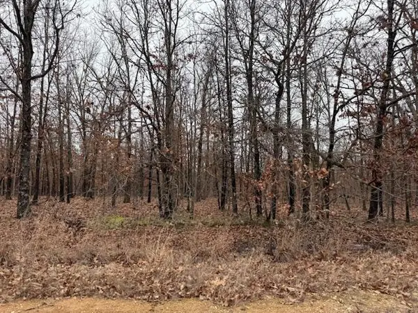 6.47 Acres Hawkweed Trail, Tunas, MO 65764
