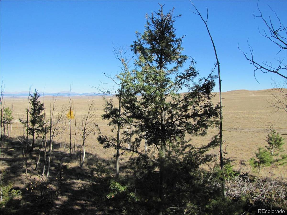 313 Aspen, Hartsel, CO 80449