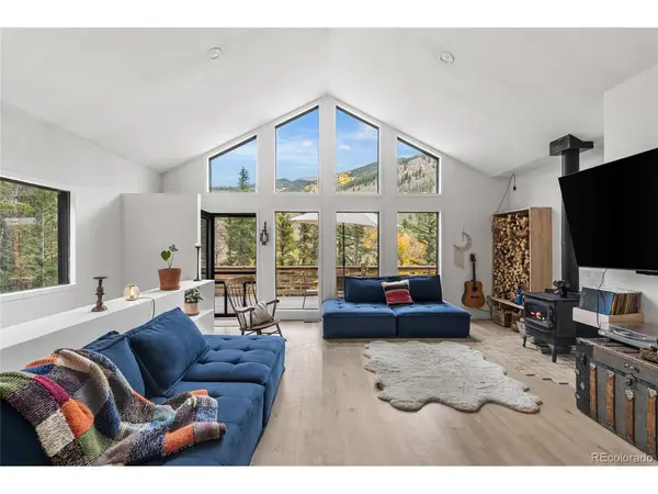 220 N Fork, Grant, CO 80448
