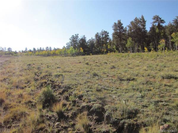 313 Aspen, Hartsel, CO 80449