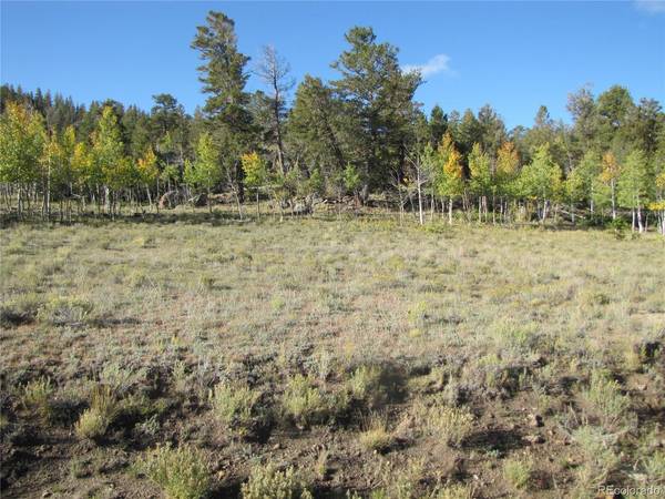 313 Aspen, Hartsel, CO 80449