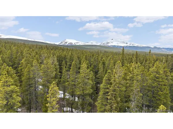 1525 Venture, Fairplay, CO 80440