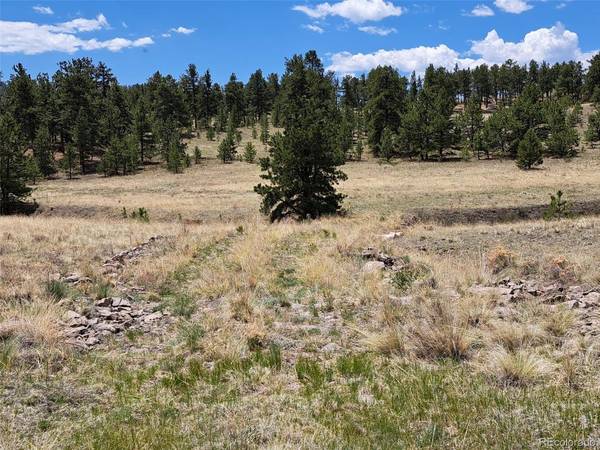744 Julia, Guffey, CO 80820