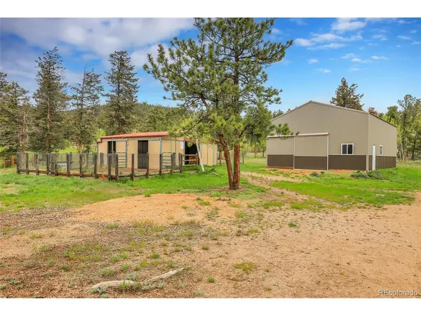 64 Elk Horn, Bailey, CO 80421