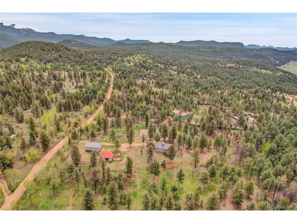 64 Elk Horn, Bailey, CO 80421