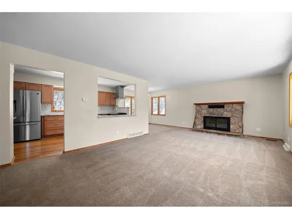 993 Fall River, Idaho Springs, CO 80452