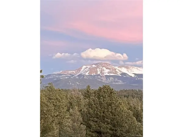 4261 County Road 51, Divide, CO 80814