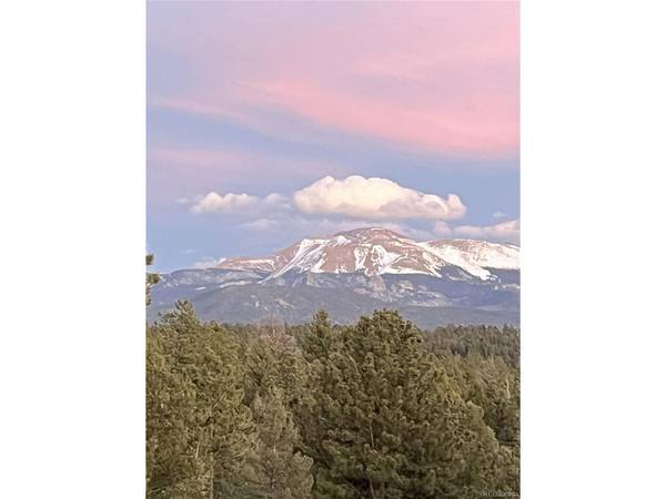 4261 County Road 51, Divide, CO 80814