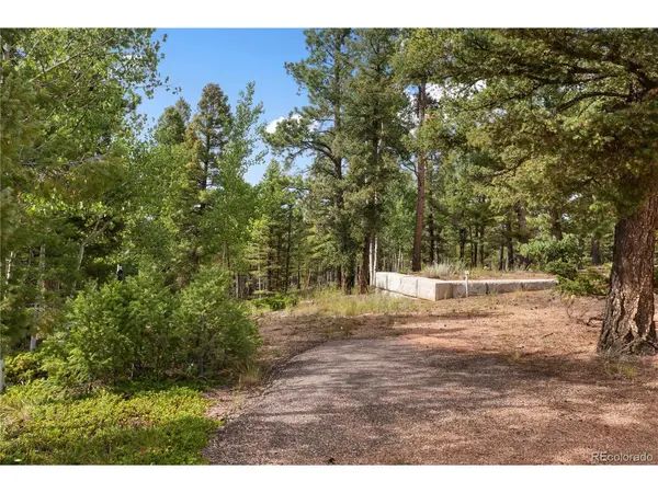 4261 County Road 51, Divide, CO 80814