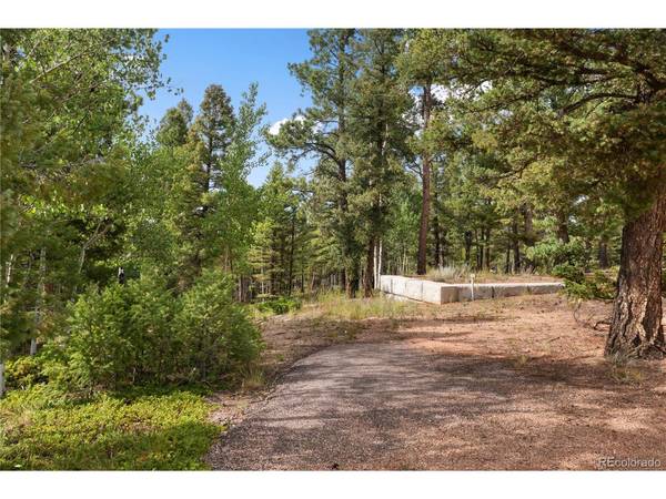 4261 County Road 51, Divide, CO 80814
