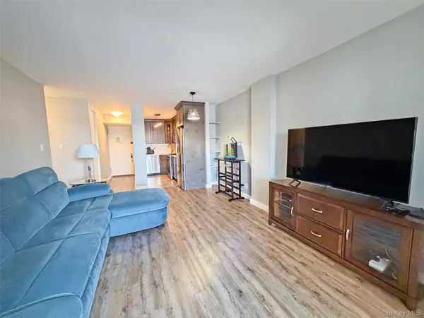 61-20 Grand Central Pkwy #A1008, Forest Hills, NY 11375