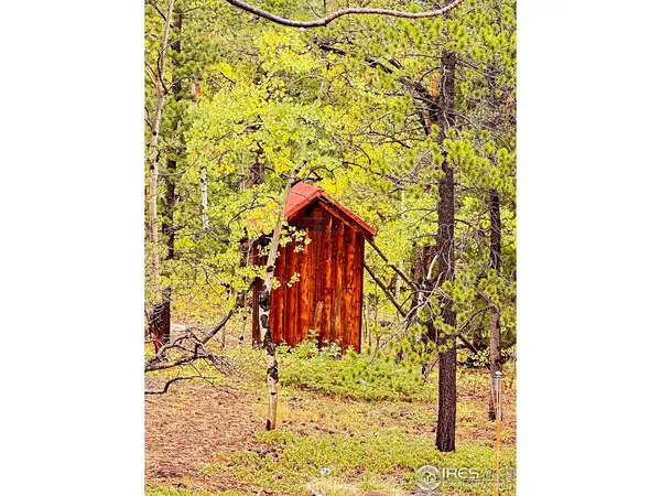 11650 Peak to Peak Highway, Allenspark, CO 80510