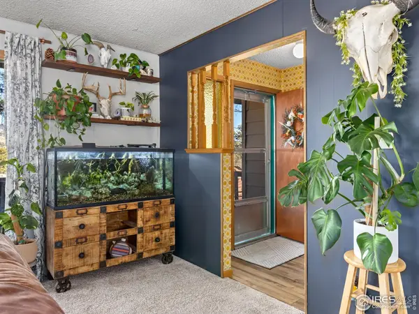 1480 Marys Lake, Estes Park, CO 80517