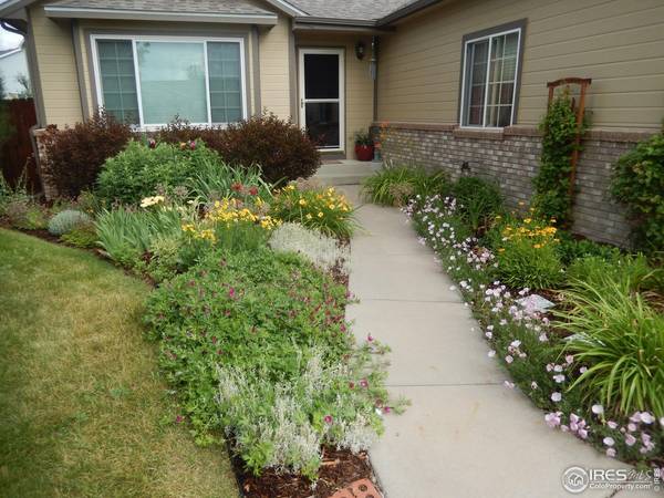 3507 Powderkeg, Evans, CO 80620