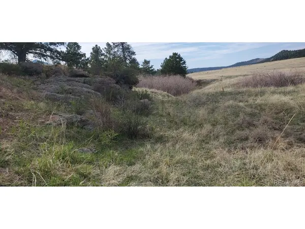 466 Spring Valley, Florissant, CO 80816