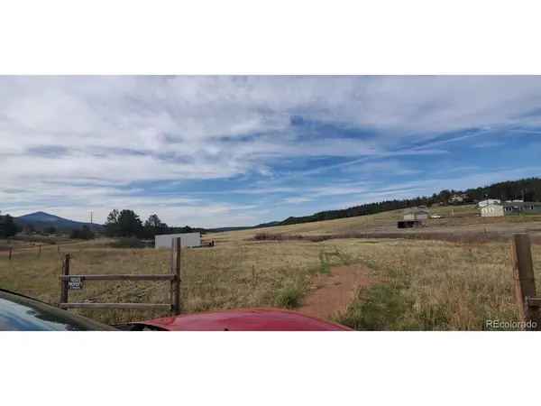 466 Spring Valley, Florissant, CO 80816