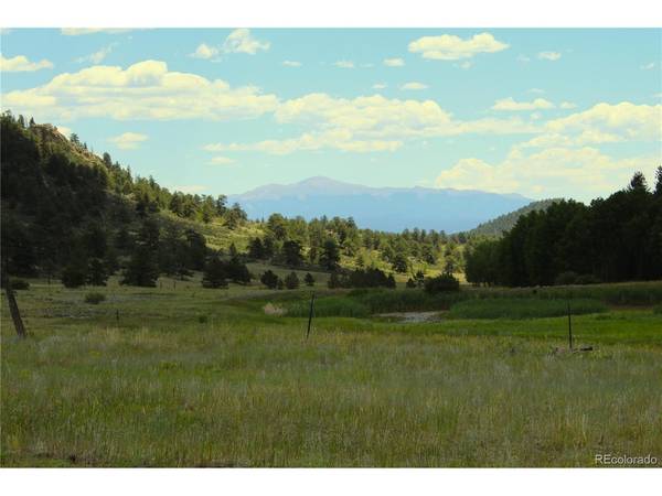 Address not disclosed, Lake George, CO 80827