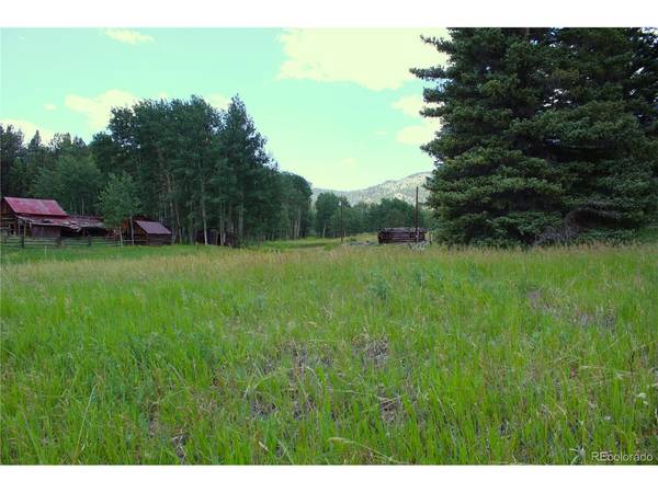 Address not disclosed, Lake George, CO 80827