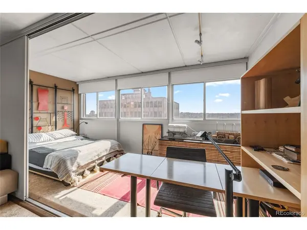 790 N Washington #1004, Denver, CO 80203