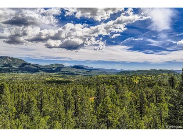 1288 Royal Ridge, Bailey, CO 80421
