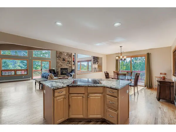 1288 Royal Ridge, Bailey, CO 80421