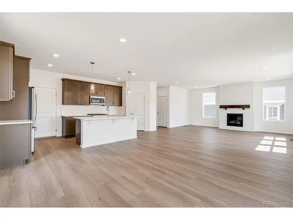 1821 WaterBirch, Castle Rock, CO 80108