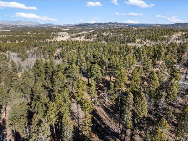 20 Echo Lake, Lake George, CO 80827