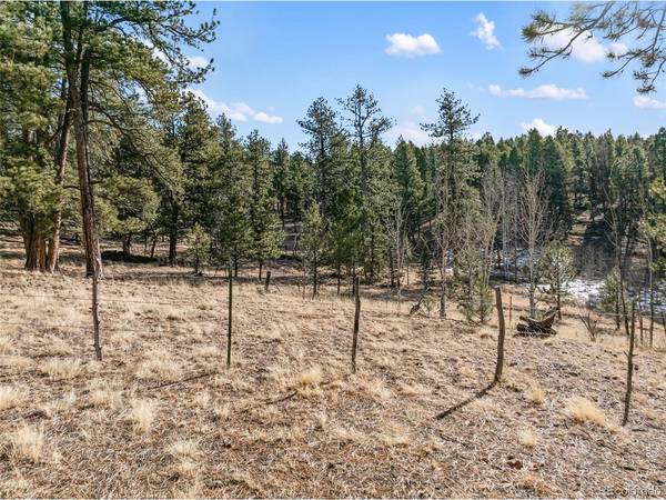 20 Echo Lake, Lake George, CO 80827
