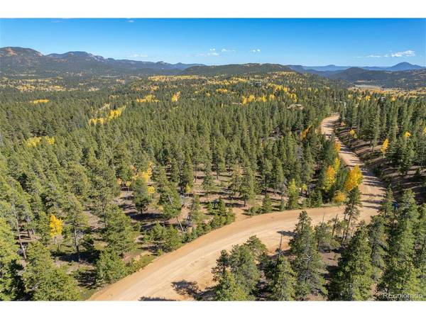 1001 Royal Ridge, Bailey, CO 80421