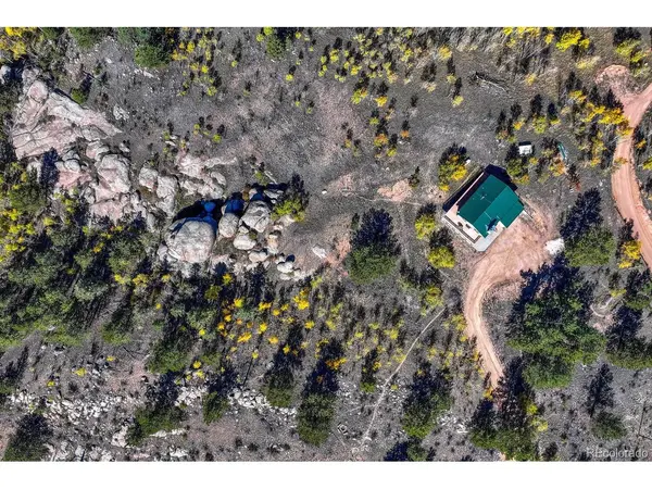 145 Crestone, Florissant, CO 80816