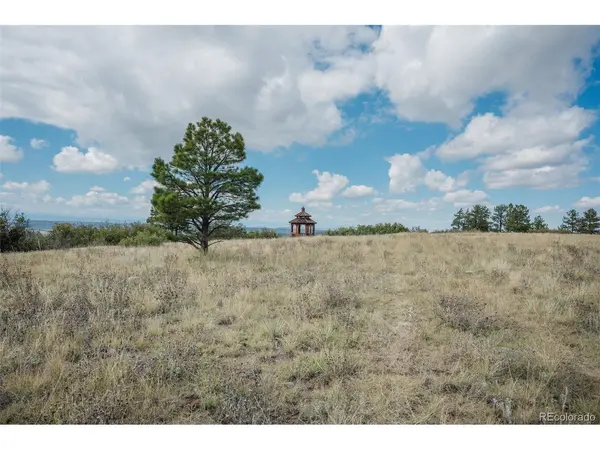 9162 Warriors Mark, Franktown, CO 80116