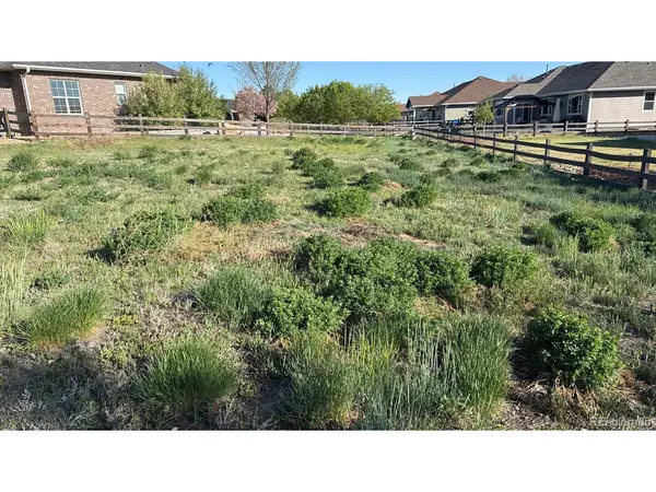 2084 Donna, Brighton, CO 80601