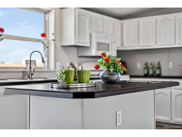 704 Buffalo Run, Calhan, CO 80808