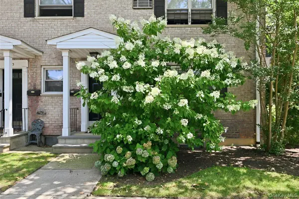 82-75 Langdale ST #103A, New Hyde Park, NY 11040