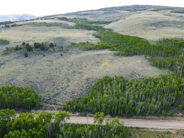 Co Road 5, Fairplay, CO 80440