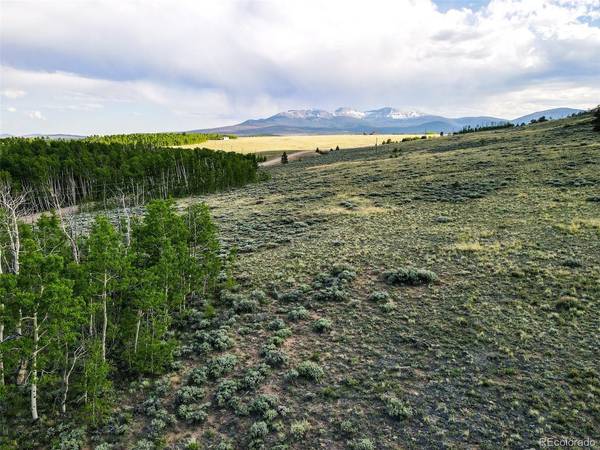 Co Road 5, Fairplay, CO 80440