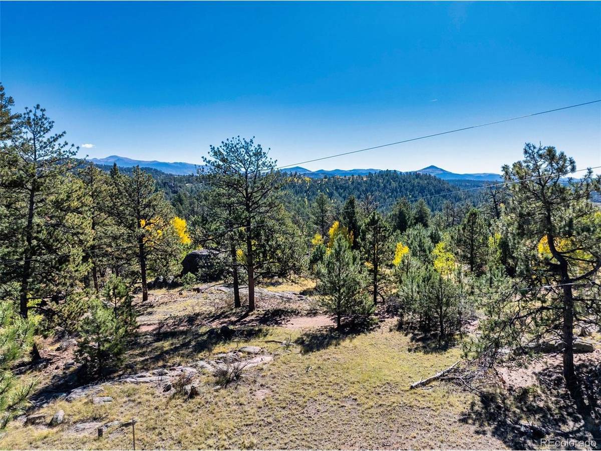 71 Pine, Guffey, CO 80820