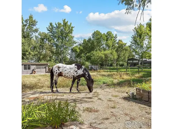 819 Gapter, Boulder, CO 80303