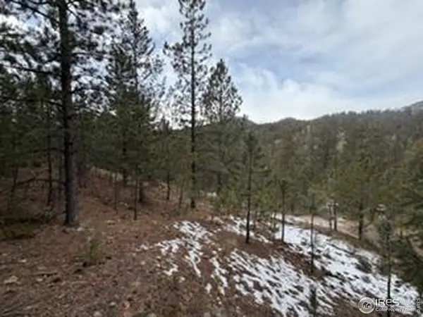 7294 County Road 43, Glen Haven, CO 80532