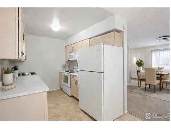 3823 Ivy, Wellington, CO 80549