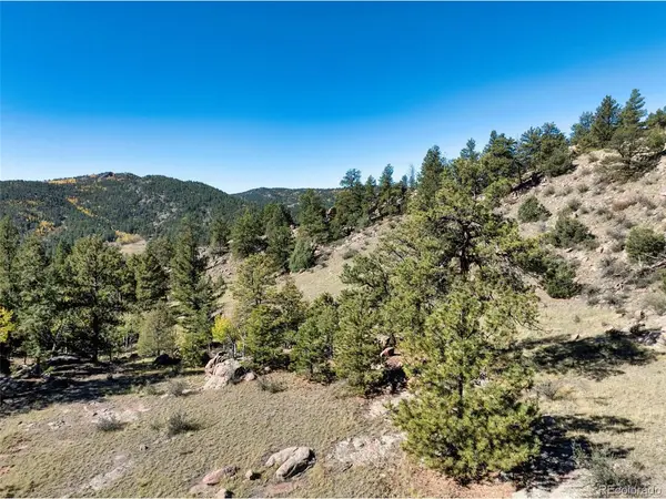 71 Pine, Guffey, CO 80820