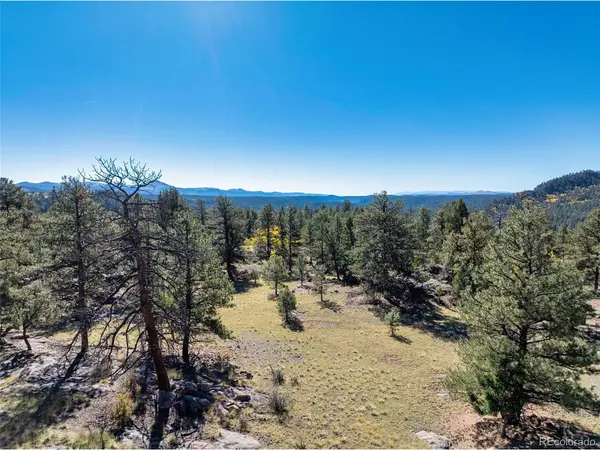 71 Pine, Guffey, CO 80820