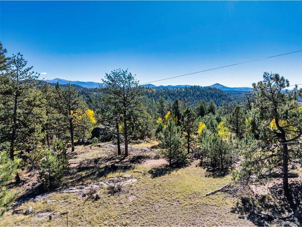 71 Pine,  Guffey,  CO 80820