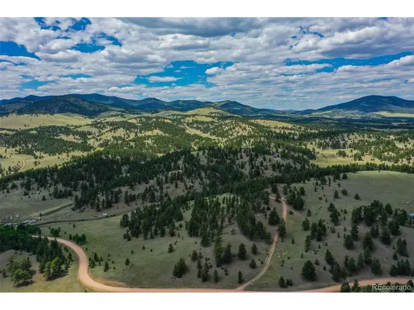 1259 County Rd 122, Guffey, CO 80820