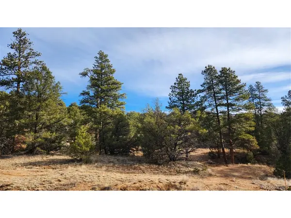 7th, Cotopaxi, CO 81223