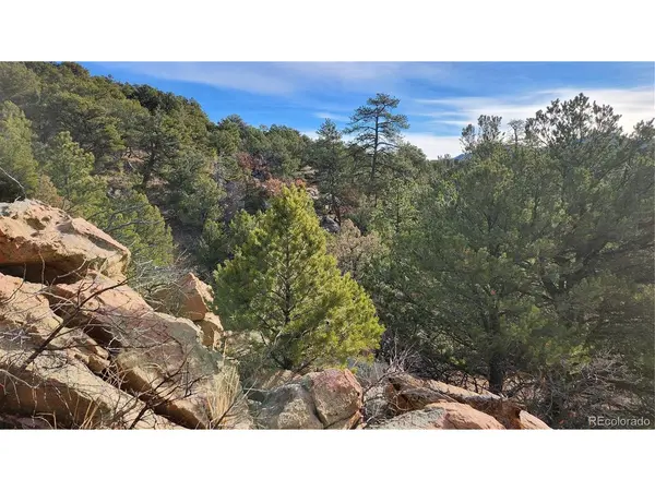 7th, Cotopaxi, CO 81223
