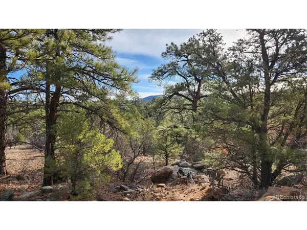 7th, Cotopaxi, CO 81223