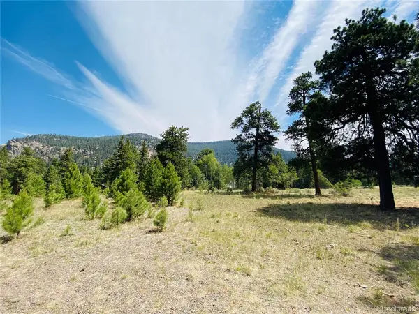 133 W Canyon View, Antonito, CO 81120